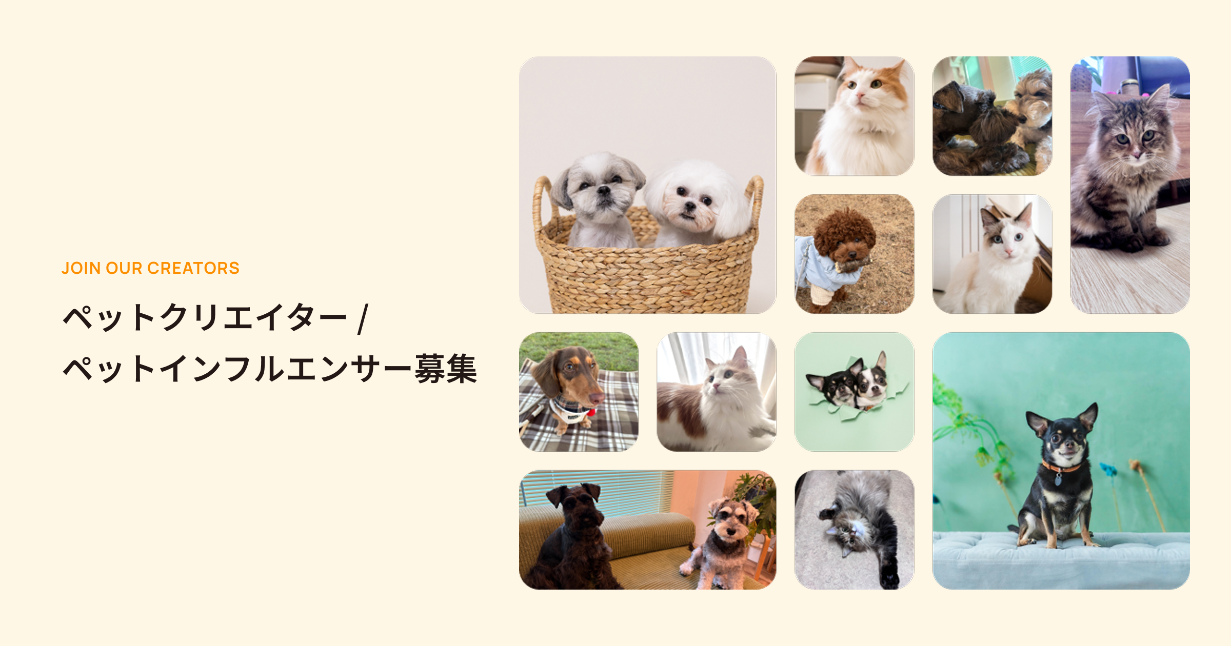 ペットクリエイター
