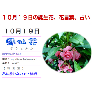 10月19日生まれの有名人 の欄に僕の名前が 10月19日生まれの有名人 の欄に僕の名前が